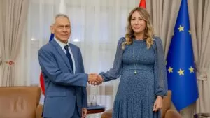 Ruski ambasador