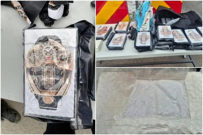 VELIKA ZAPLENA! POLICIJA NA GRANICI PRONAŠLA 17,5 KILOGRAMA KOKAINA! U Bezdanu uhapšen vozač kamiona (57) - evo šta je sve pronađeno kod njega (FOTO/VIDEO)