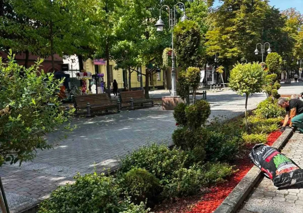 Уређене средишње леје у шеталишној зони улице Српских владара