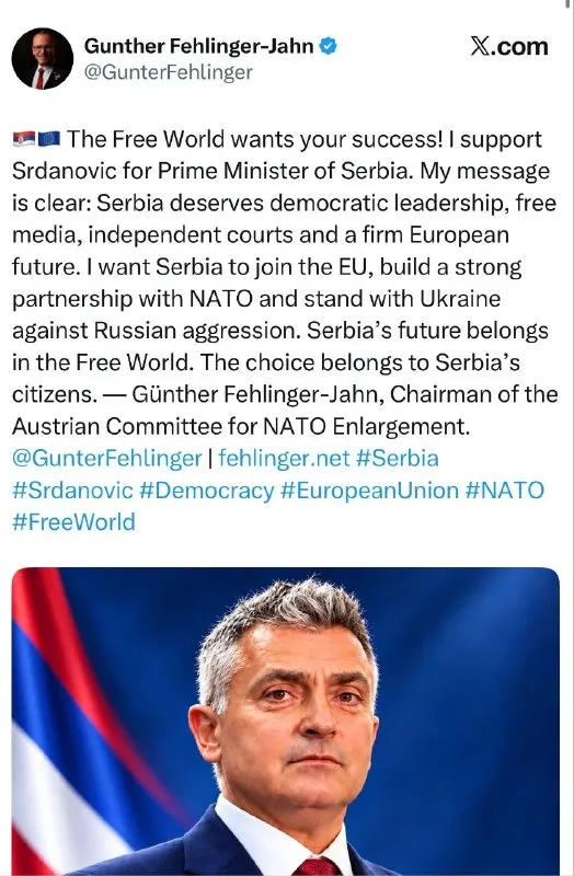 Тражио је да се уклони споменик Милици Ракић, а да се подигне Мадлен Олбрајт! Погледајте ко пружа подршку Срдановићу!